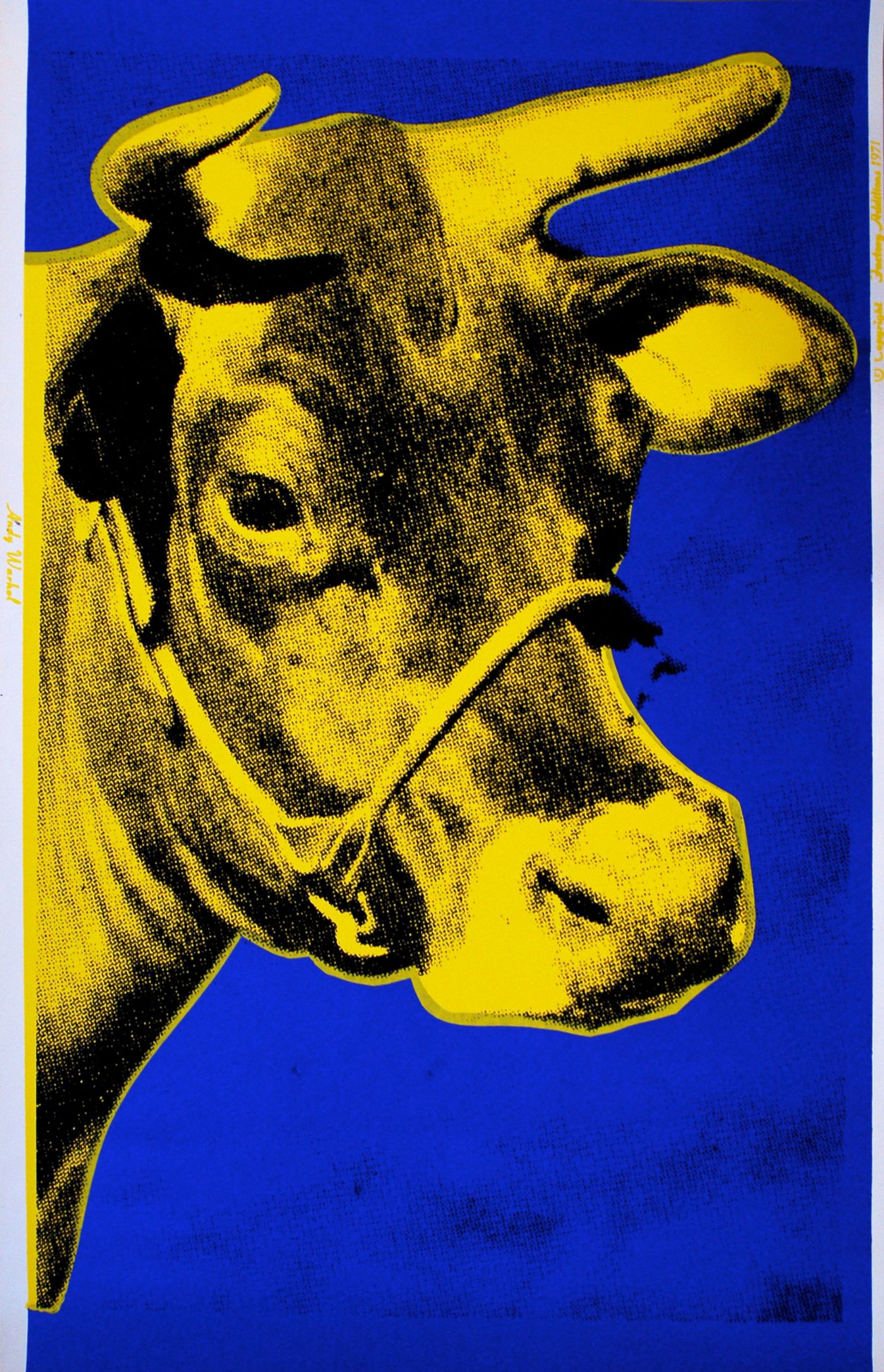 Cow, II.12