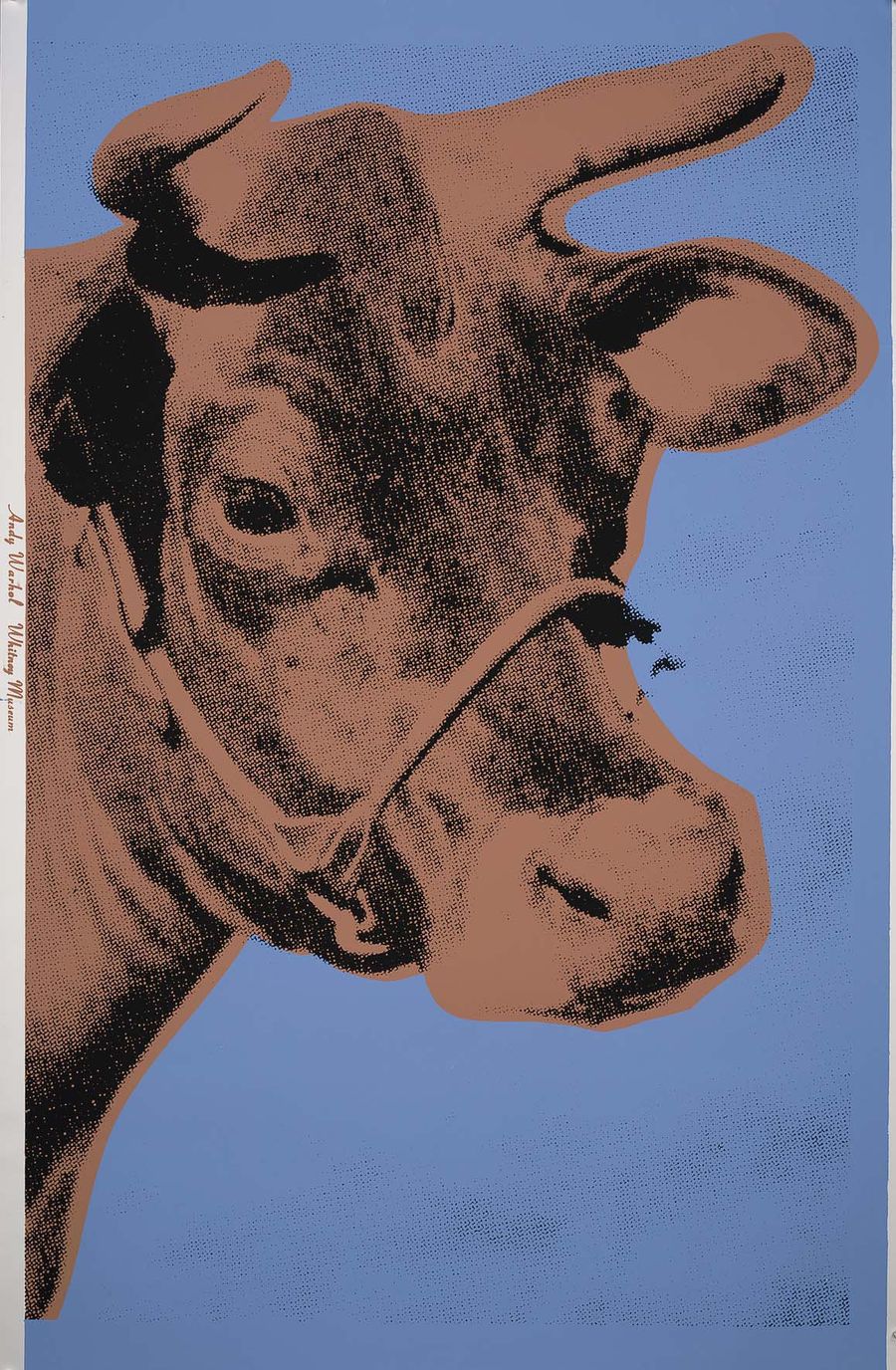 Cow, II.11A