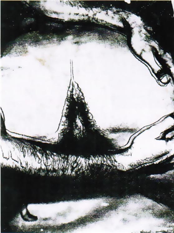 Sex Parts, II.173