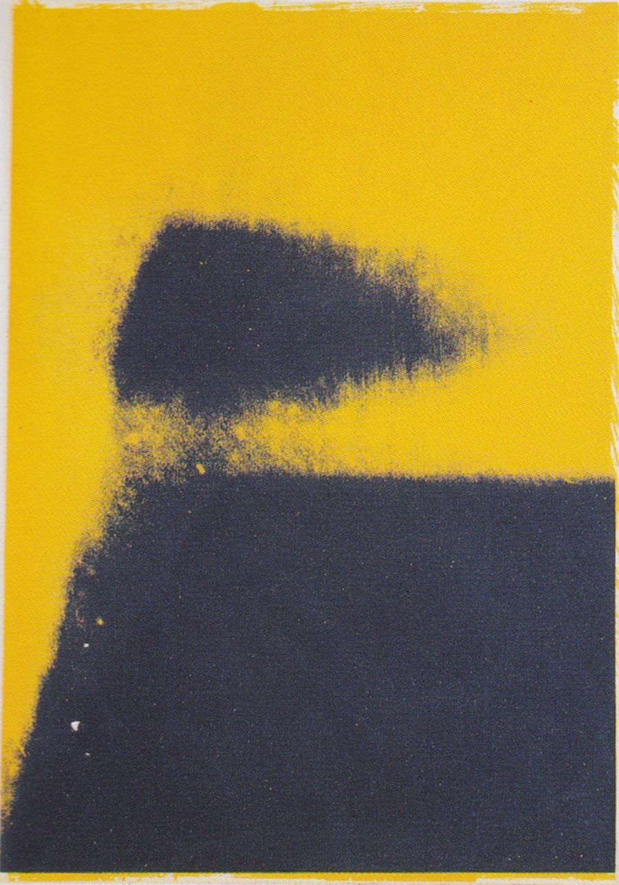 Shadows I 204