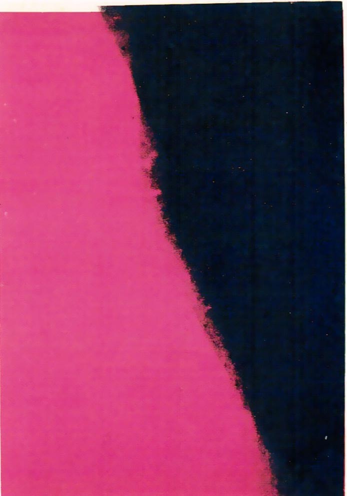Andy Warhol, Shadows II 212 (1979)
