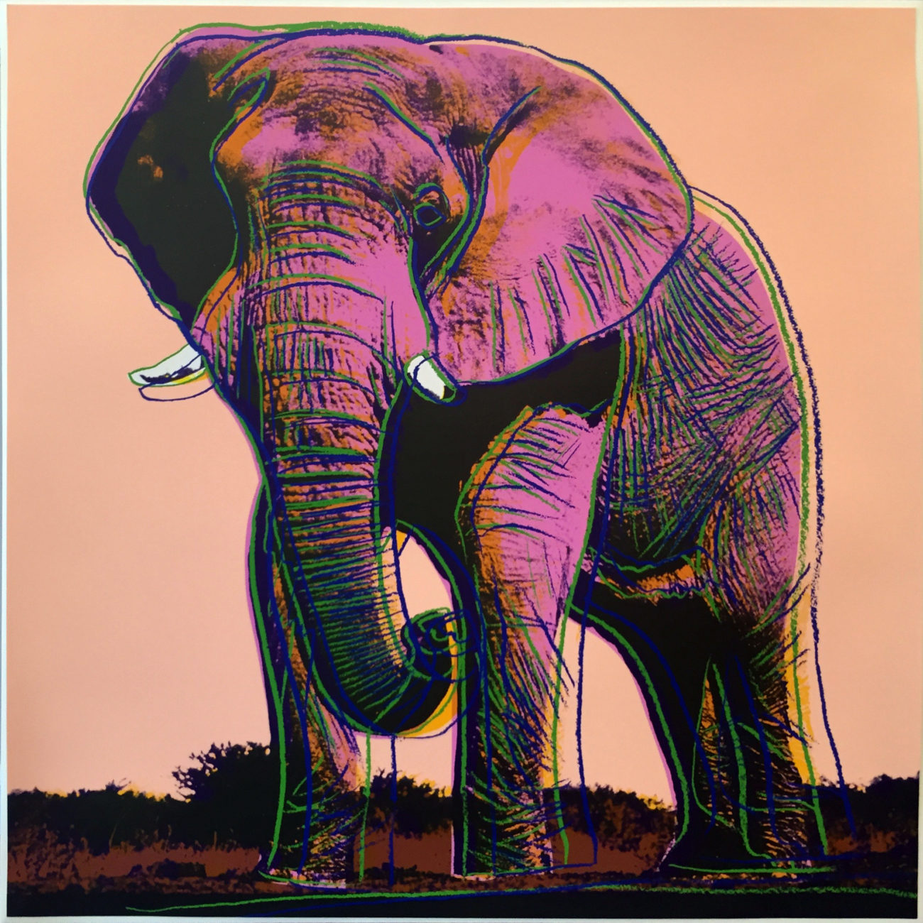 Endangered Species: African Elephant II.293