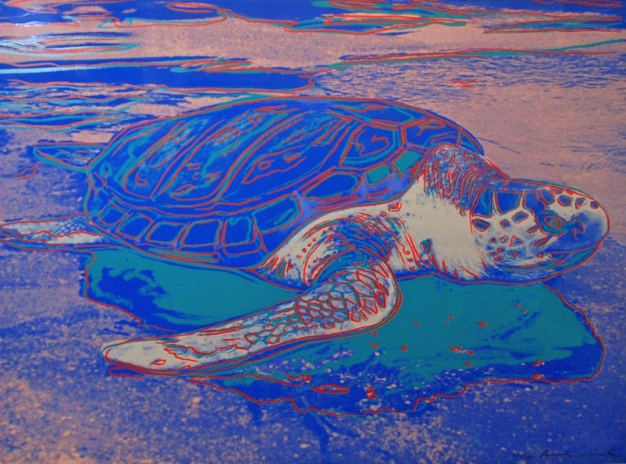 Turtle (II.360A)