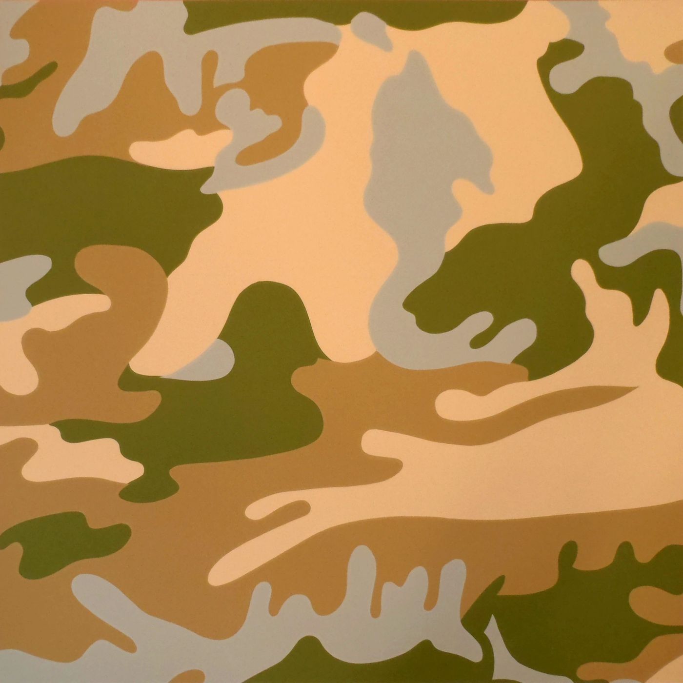 Camouflage [II.407]