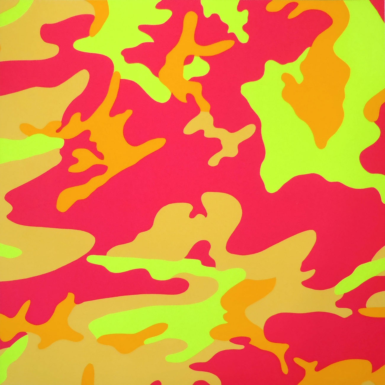Camouflage [II.409]