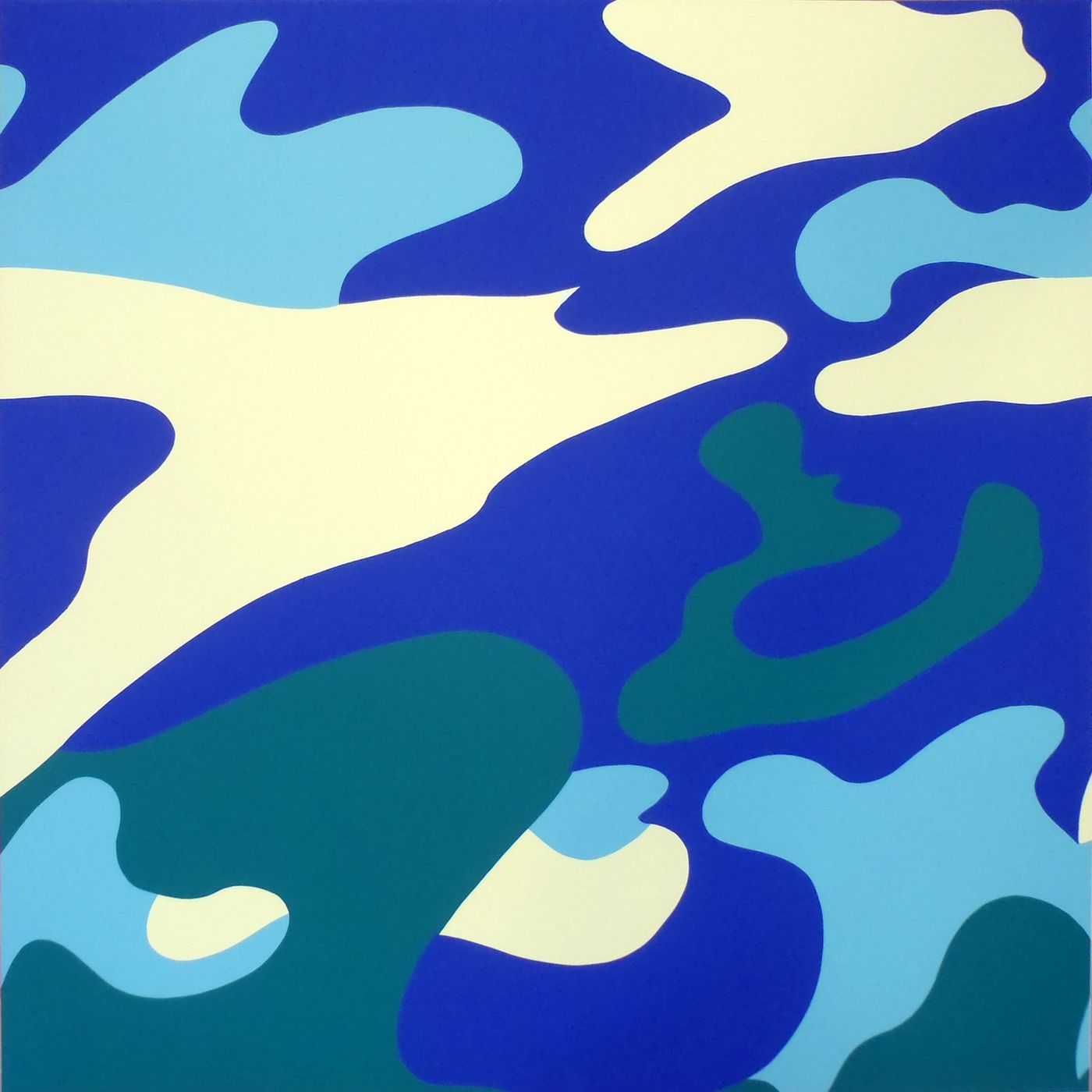 Camouflage [II.411]