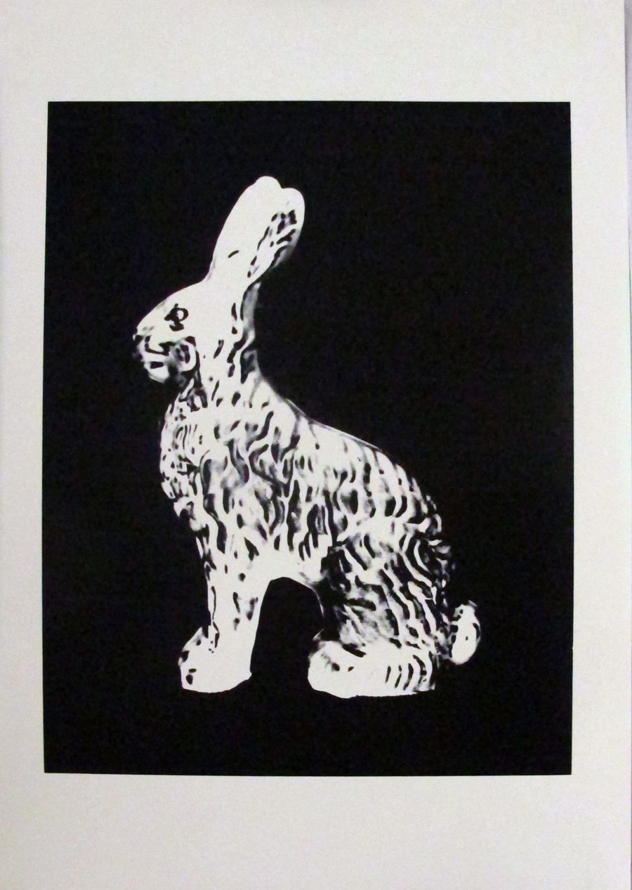 Chocolate Bunny
