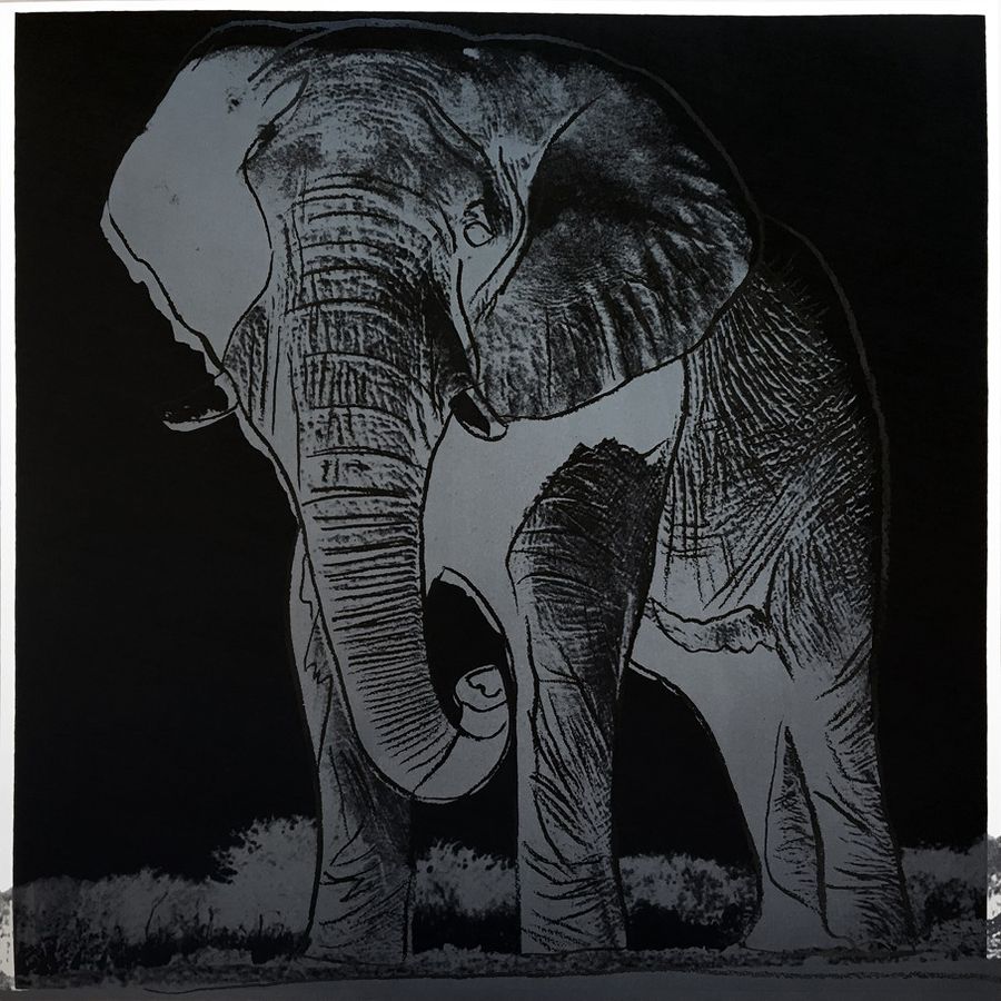 Endangered Species Portfolio
