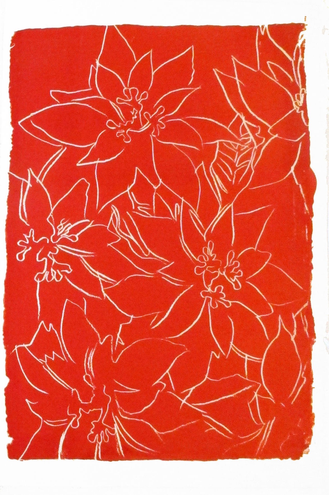 Poinsettias
