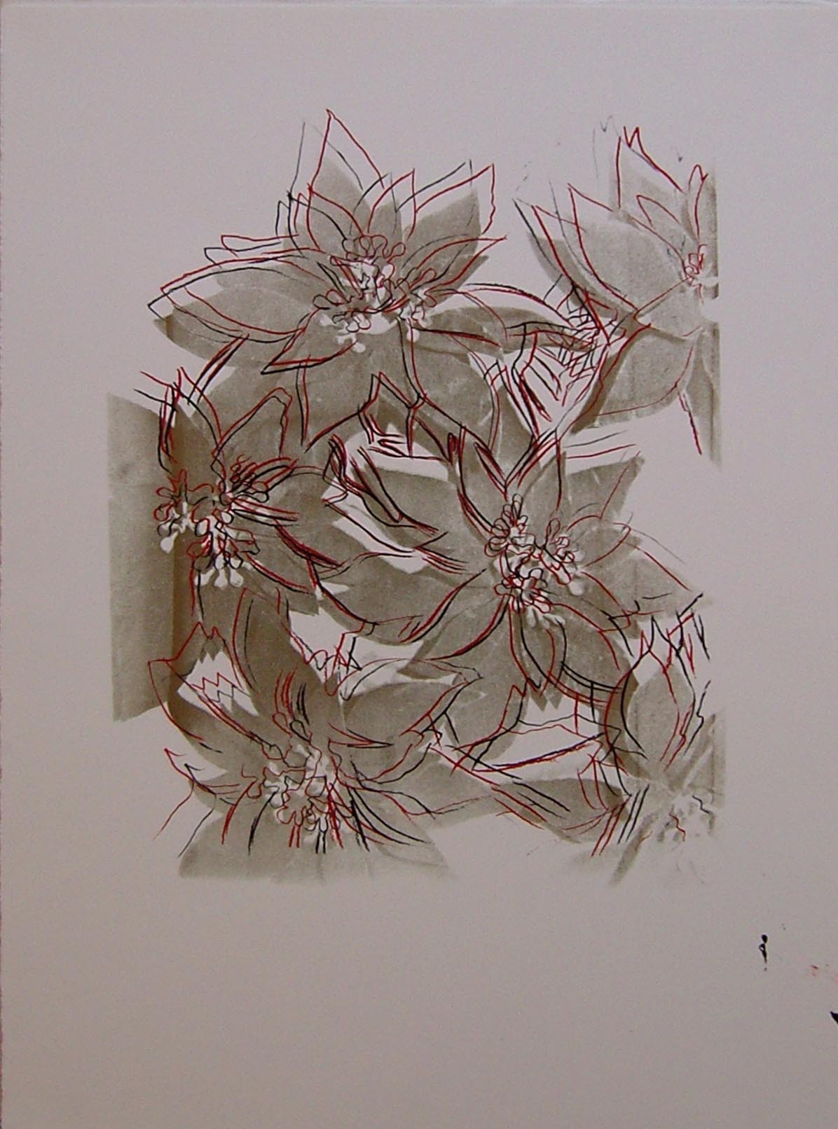 Poinsettias