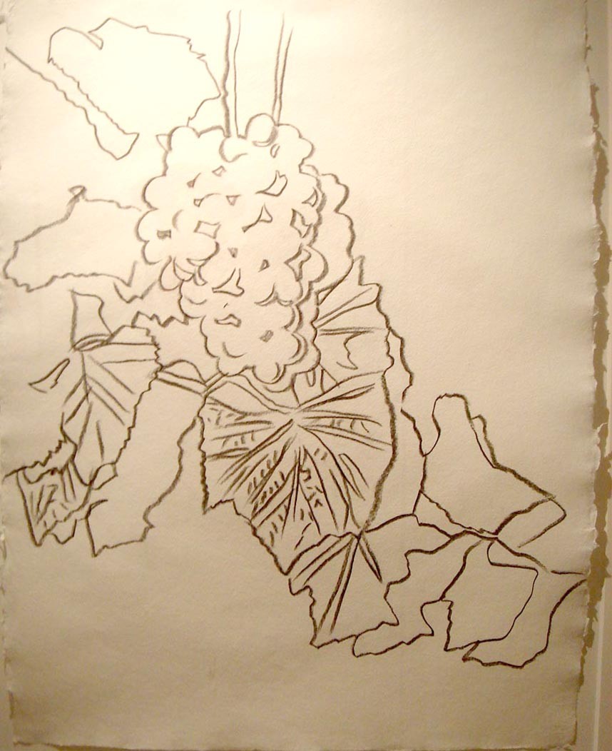 Grapes, c.