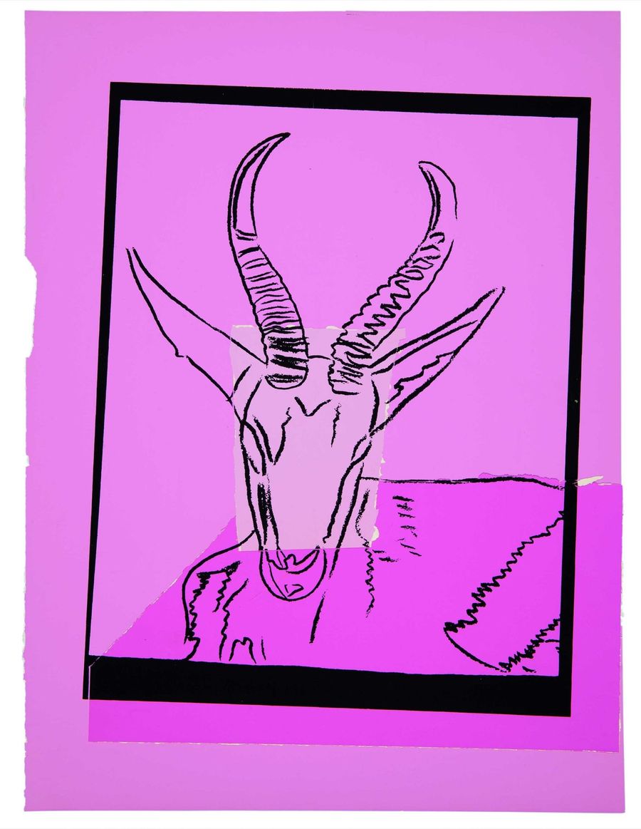 Vanishing Animals — Sommering Gazelle