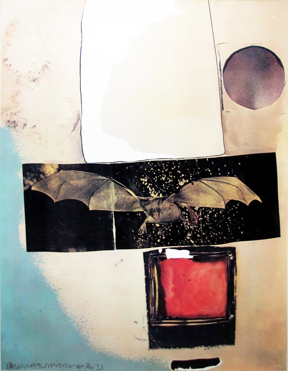 Robert Rauschenberg, Rays (1973)