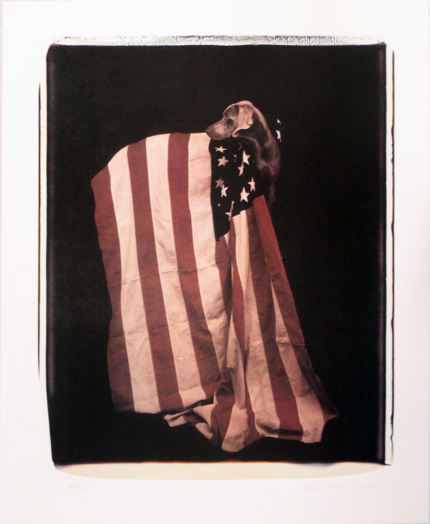 Profiles in Patriotism (from Freedom of Expression), 1994