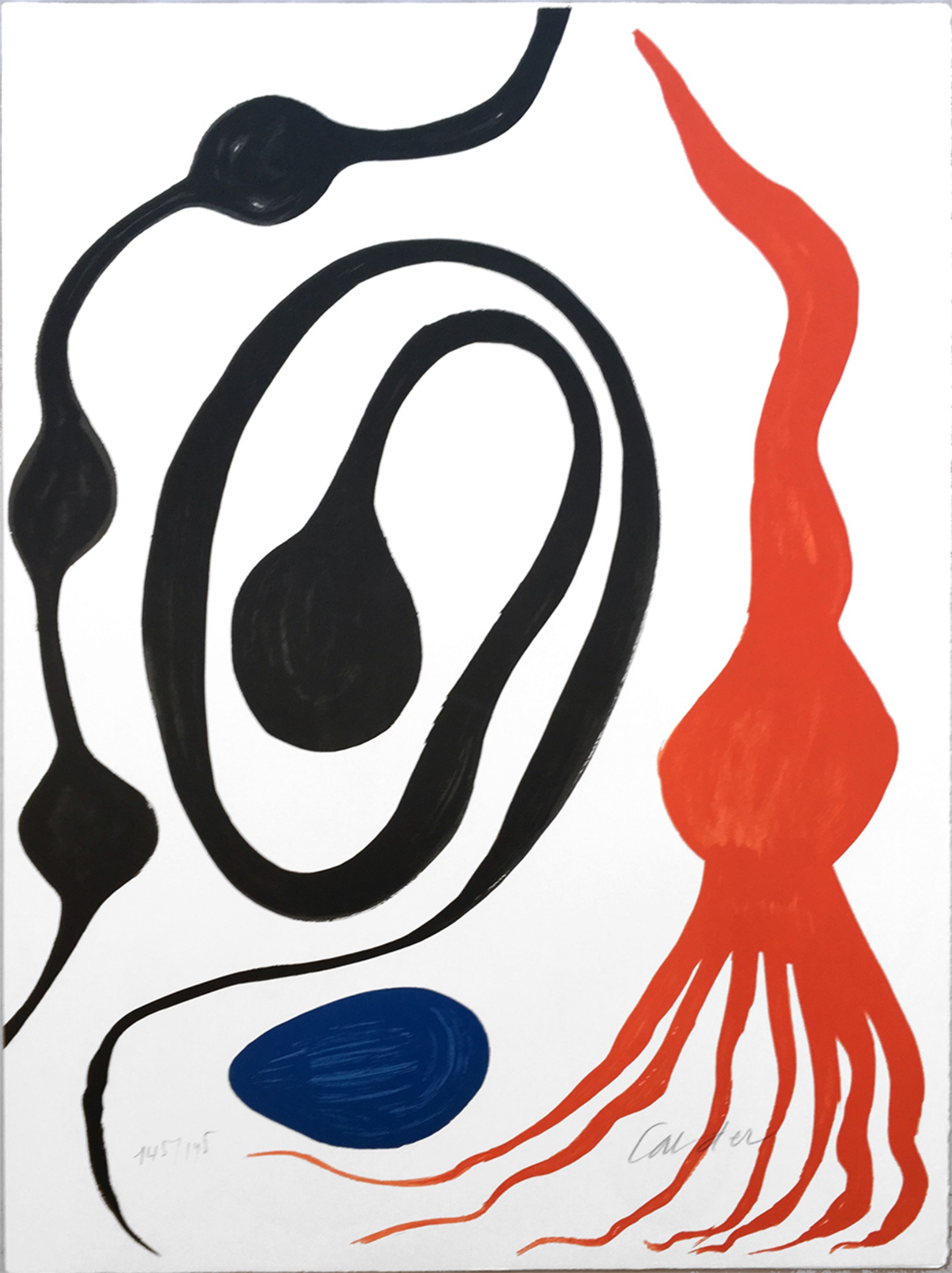 Octupus/Squid, 1975- 1976