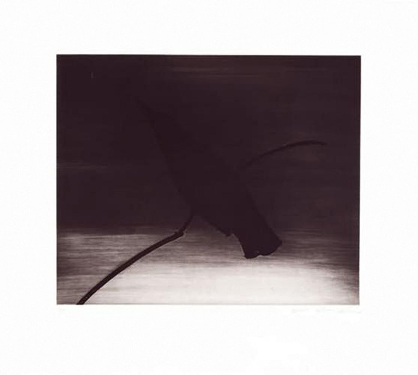 Crow I