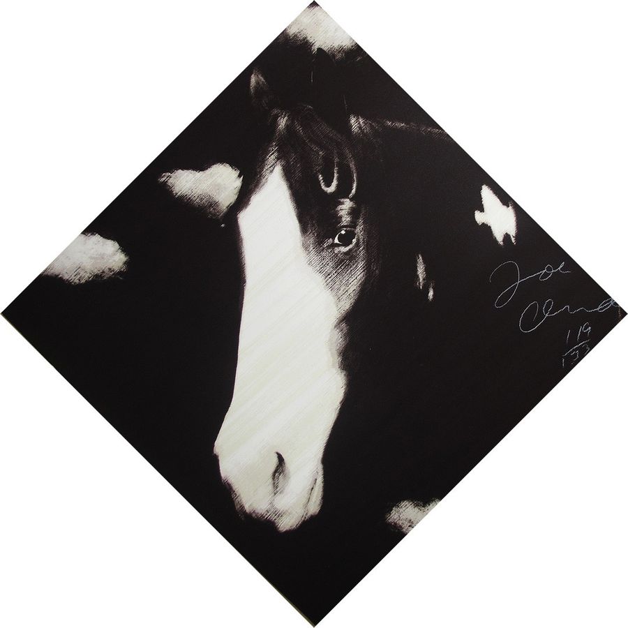 Horse I