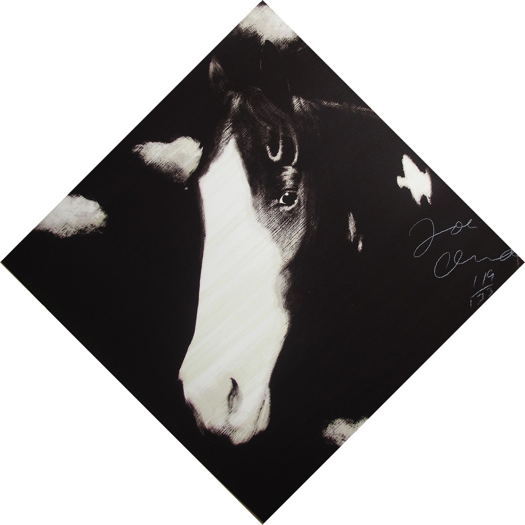 Horse I