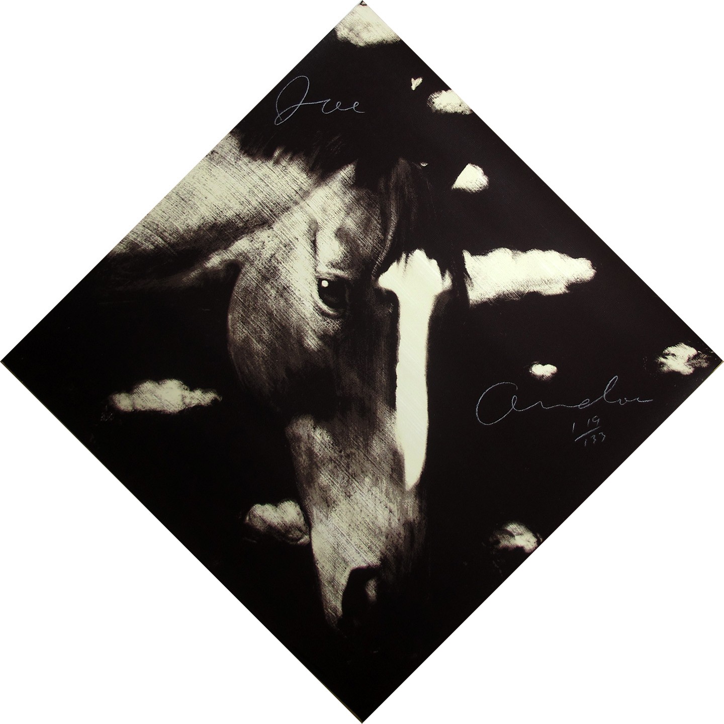 Joe Andoe, Horse II (1989)