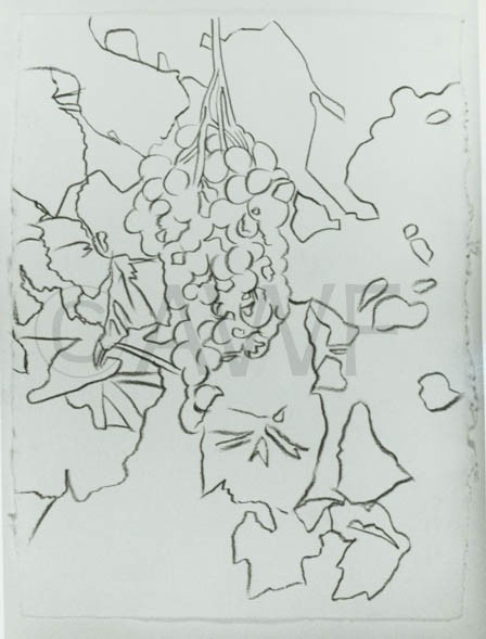 Grapes, c.