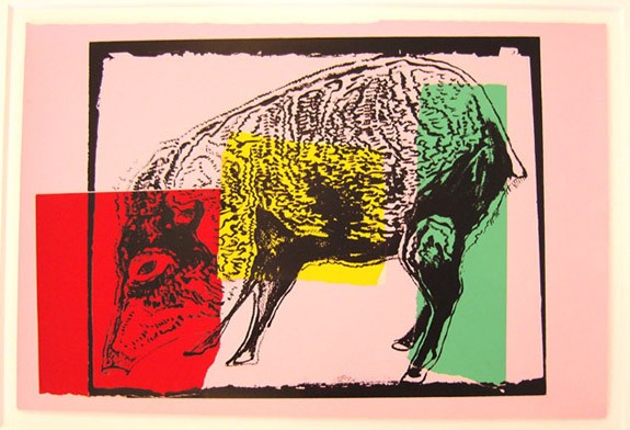 Vanishing Animals — Giant Chaco Peccary