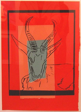 Sommering Gazelle