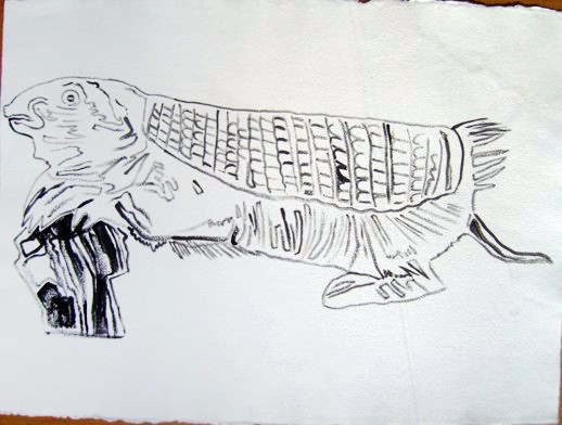 Mouse Armadillo