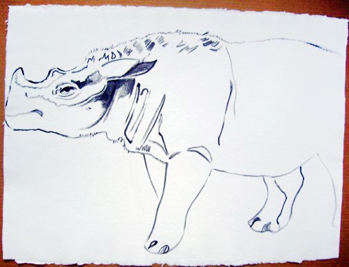Sumatras Rhinoceros