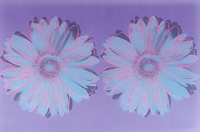 Daisy (double)