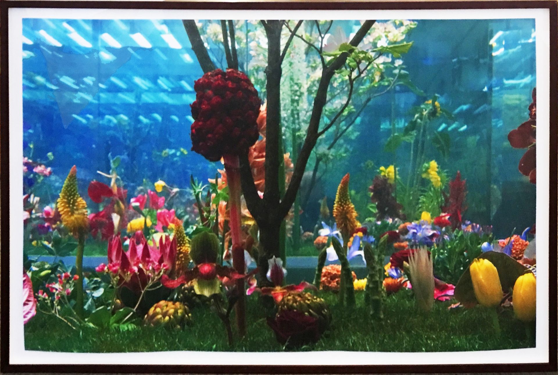 MARC QUINN, Untitled - Plate 3 from the Garden 2 (2000)