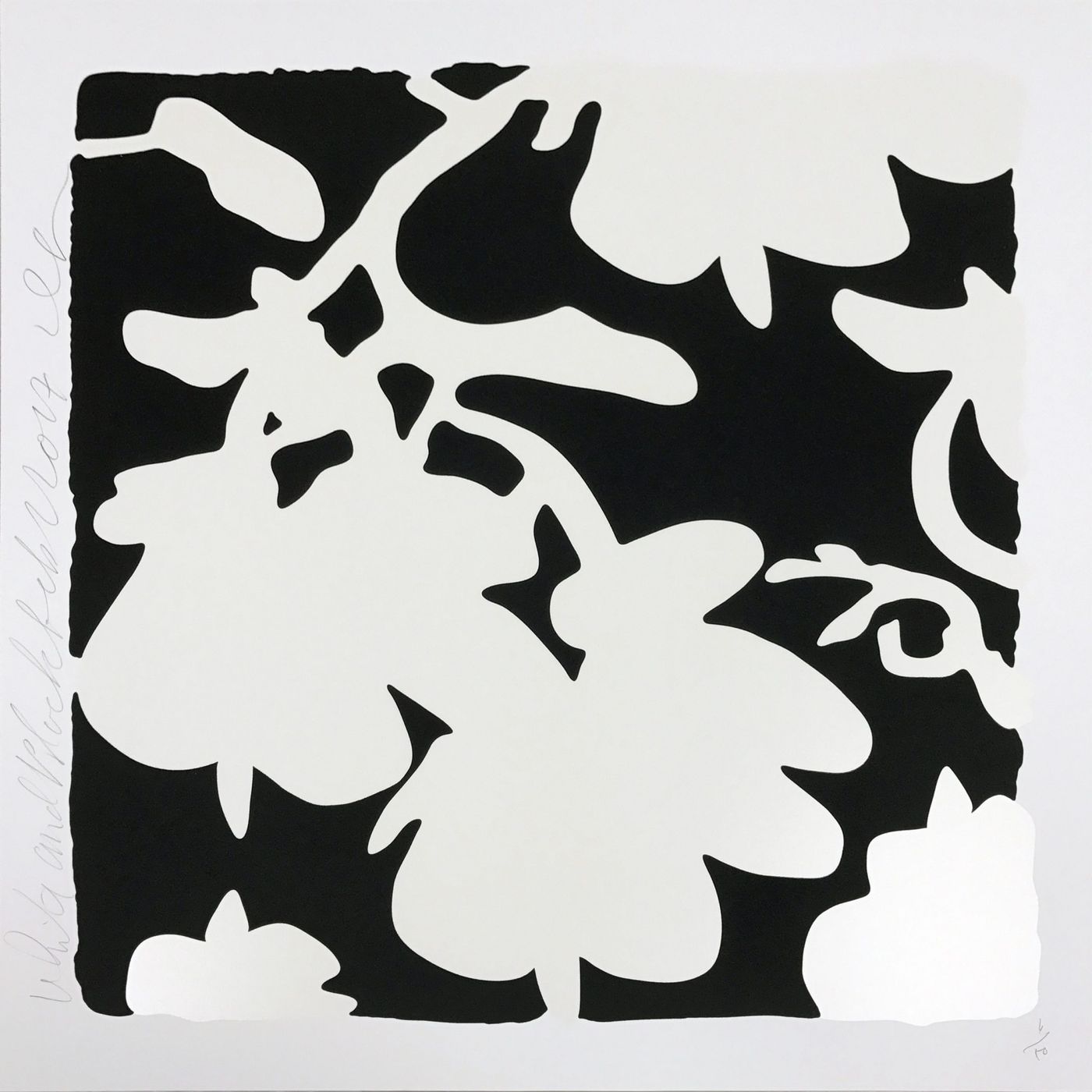 Lantern Flowers - White/Black background