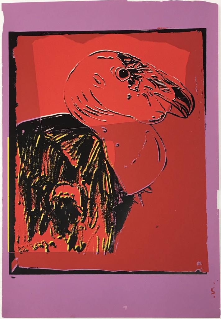 Vanishing Animals - California Condor