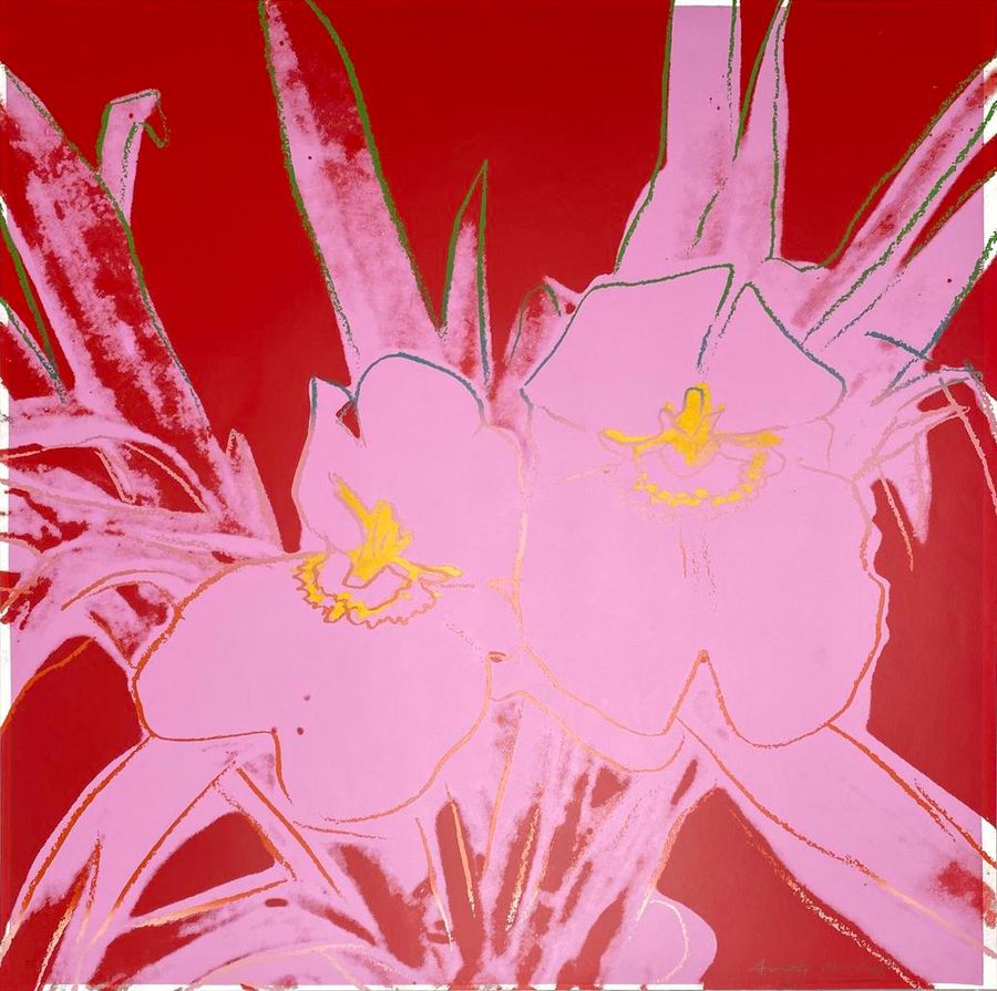 Orchids