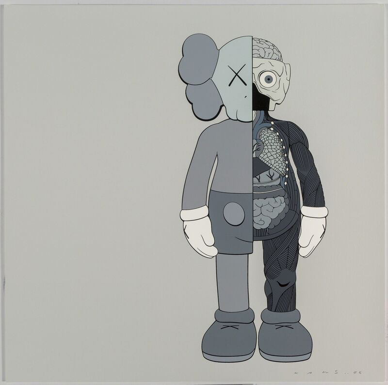 Dissected Companion (Gray)