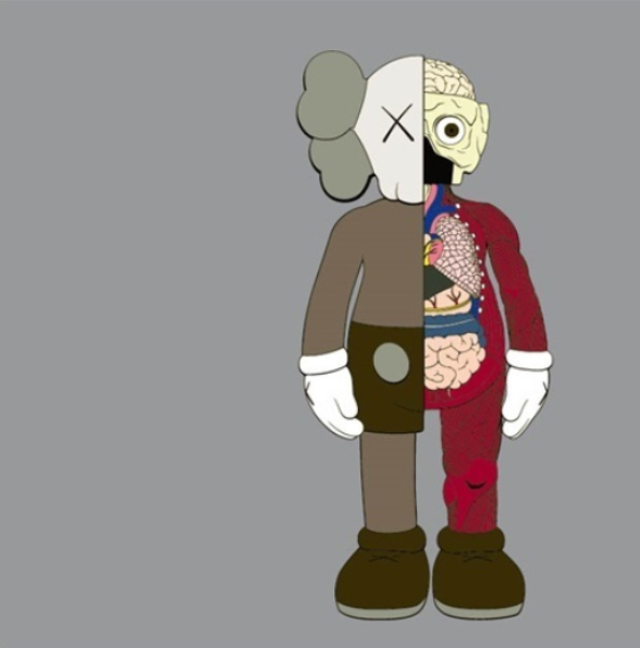 Dissected Companion