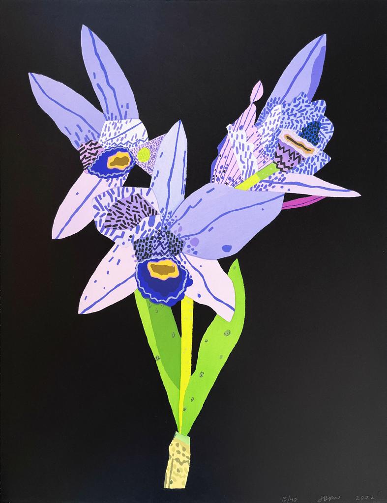 Dogface Purple Orchid