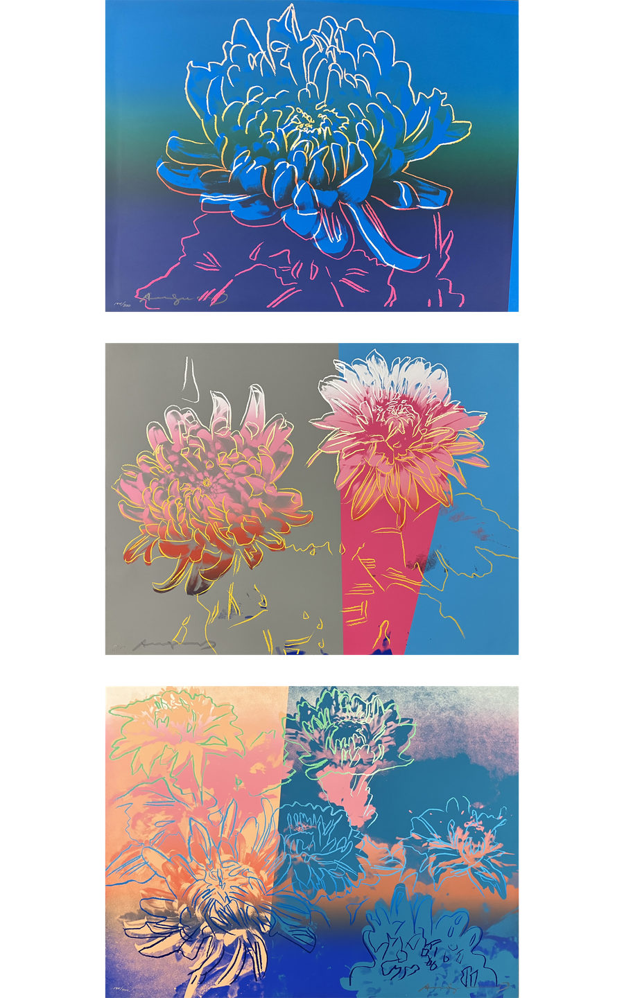 Kiku Portfolio