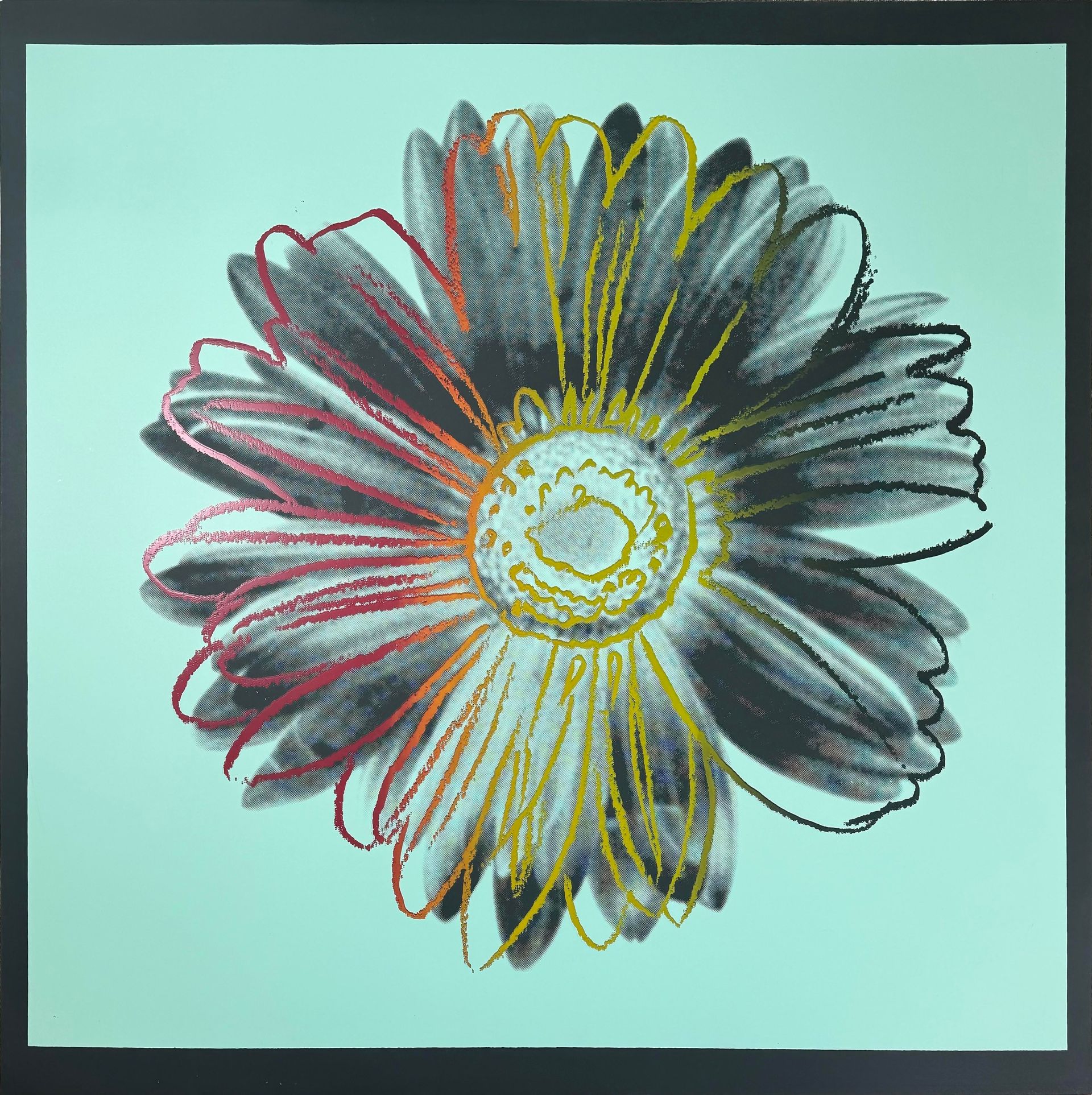 Hamilton Selway, Daisy, IIIA.38 (ca. 1982)