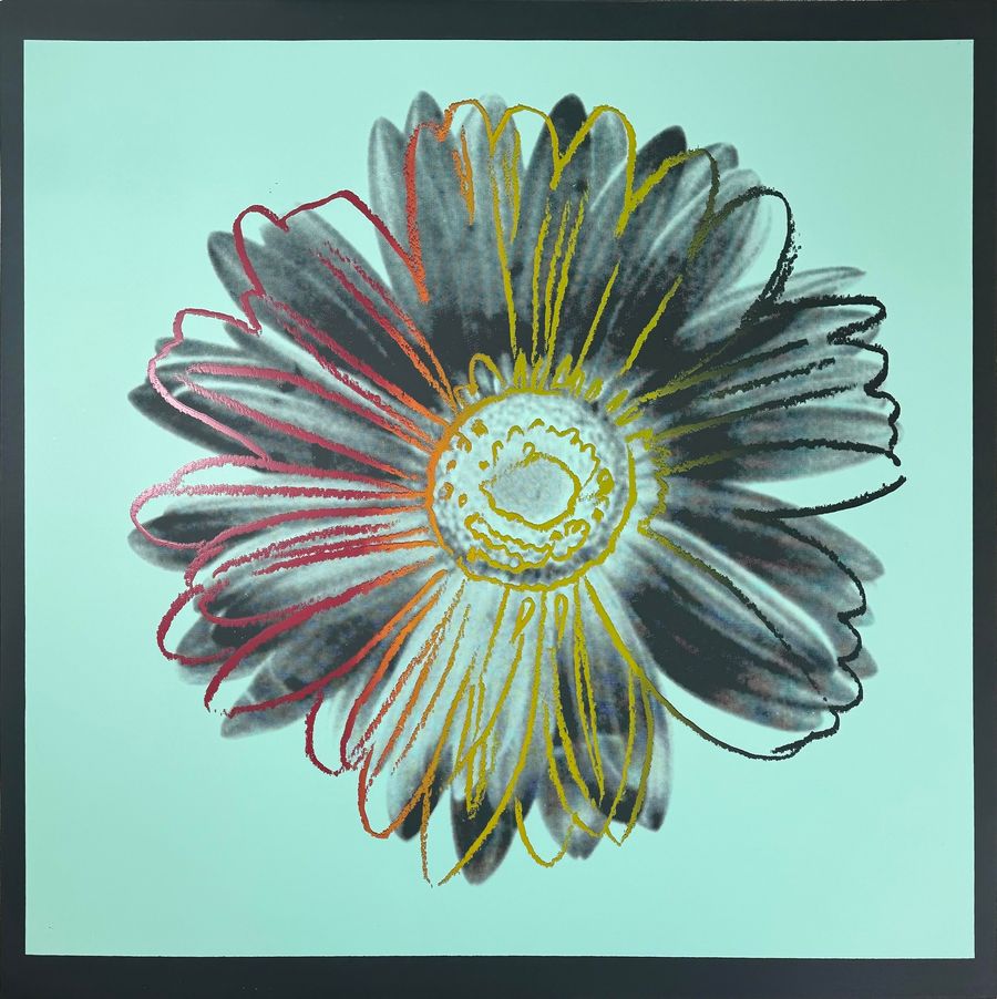 Daisy, IIIA.38